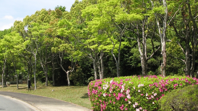 【禁煙】☆室数限定☆伊勢の伝統工芸と大自然の中で心癒されるひとときを